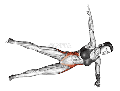 Side Bridge Hip Abduction  demonstration