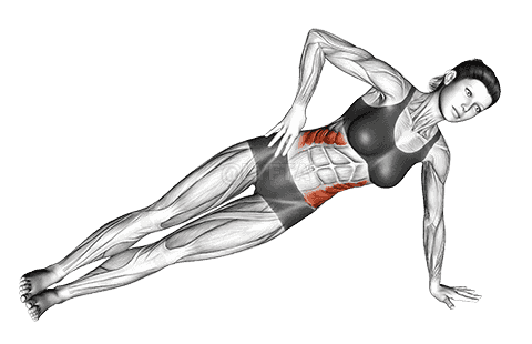 Side Plank  demonstration