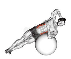 Weighted Side Bend  demonstration