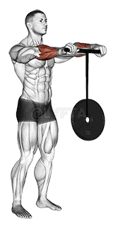Wrist Roller demonstration