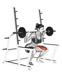 Barbell Full squat  demonstration