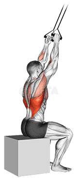 Band close-grip pulldown demonstration