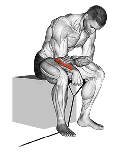 Band reverse wrist curl demonstration