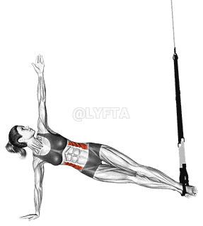 Suspension Star Plank demonstration