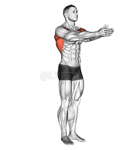Dynamic Chest Stretch  demonstration