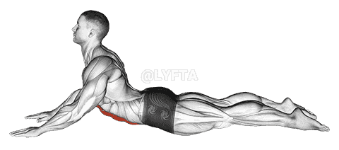 Lying  demonstration