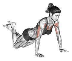 Push-up  demonstration