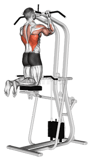 Assisted Close-grip Underhand Chin-up demonstration