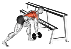 One Arm Row demonstration