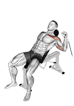 Cable One Arm Incline Press demonstration