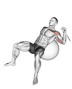 Cable One Arm Incline Press on Exercise Ball demonstration