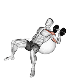Dumbbell Incline One Arm Press on Exercise Ball demonstration