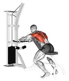 Cable Incline Bench Row demonstration