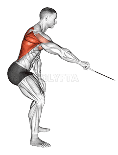 Cable Palm Rotational Row demonstration