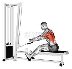 Rope Elevated Seated Row demonstration