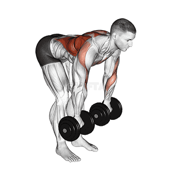 Palm Rotational Bent Over Row demonstration