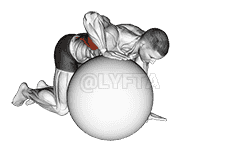 Exercise Ball Lat Stretch demonstration
