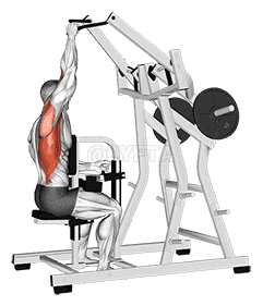 Lever One Arm Lateral Wide Pulldown  demonstration