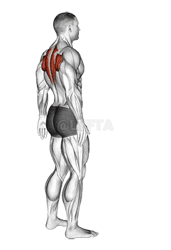 Upper Back Stretch demonstration