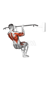 Muscle-up  demonstration