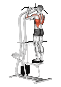 Assisted Standing Chin-Up demonstration