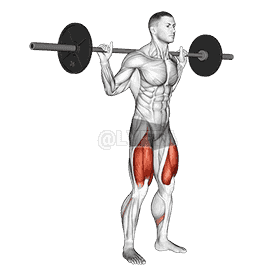 Low Bar Squat demonstration