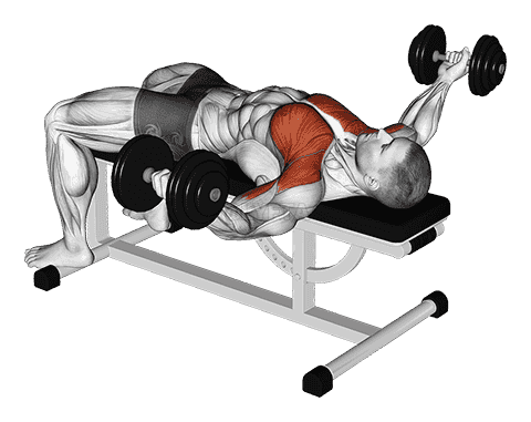 Dumbbell Flat Flye Hold Isometric demonstration
