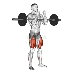 full Zercher Squat demonstration