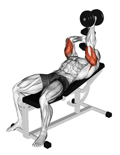 Dumbbell Lying Alternate Extension demonstration