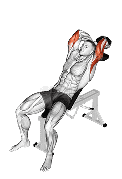 Dumbbell Incline Two Arm Extension demonstration