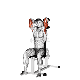 Dumbbells Seated Triceps Extension demonstration