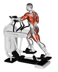 Elliptical Machine Walk demonstration