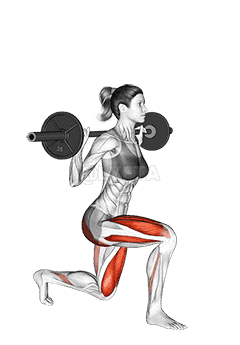 Barbell Rear Lunge  demonstration
