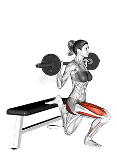 Barbell Single Leg Split Squat  demonstration