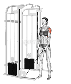 Cable One Arm Lateral Raise  demonstration