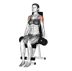 Dumbbell Seated Lateral Raise  demonstration