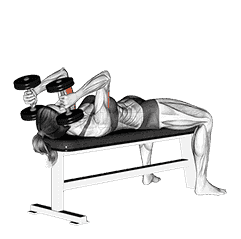 Dumbbell Lying Triceps Extension  demonstration