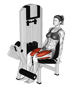 Lever Leg Extension  demonstration