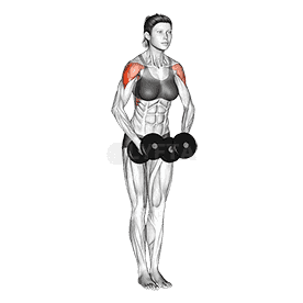 Dumbbell Standing Bent Arm Lateral raise  demonstration