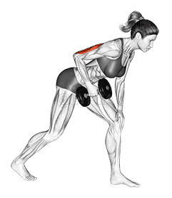 Dumbbell One Arm Kickback  demonstration