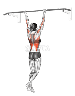 Chin-Up  demonstration