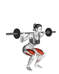 Barbell Narrow Stance Squat  demonstration