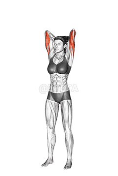 Dumbbell Standing Triceps Extension  demonstration