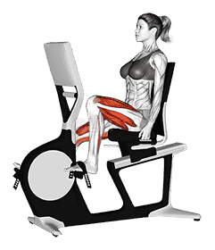 Bicycle Recline Walk  demonstration