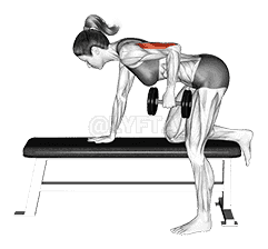 Dumbbell Kickback  demonstration