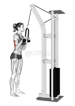 Cable Pushdown  demonstration