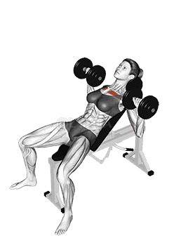 Dumbbell Incline Bench Press  demonstration