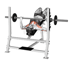Barbell Decline Bench Press  demonstration