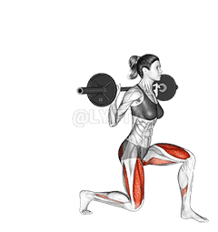 Barbell Lunge  demonstration