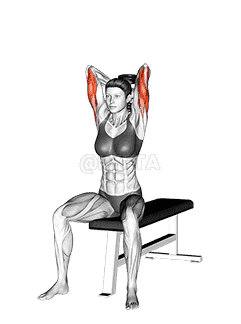 Dumbbell Seated Triceps Extension  demonstration